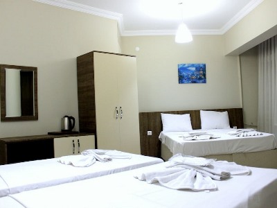 Hotel Deda Thermal