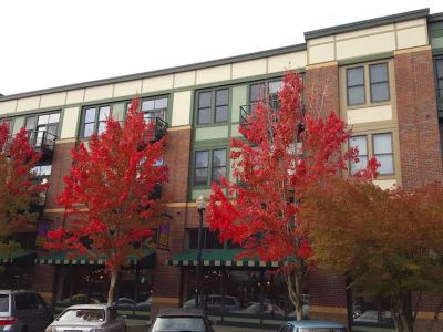 Гостиница Orenco Lofts
