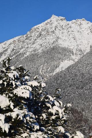 Гостиница Garni Brunnthaler