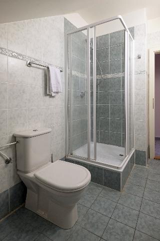 Гостиница Vila U Varhanare