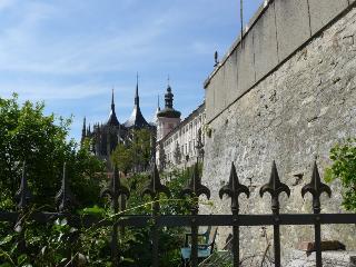 Гостиница Vila U Varhanare