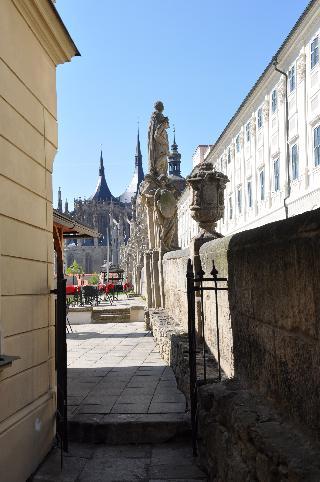 Гостиница Vila U Varhanare