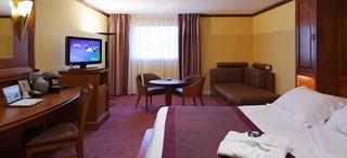 Гостиница Courtyard Paris Roissy Charles de Gaulle Airport