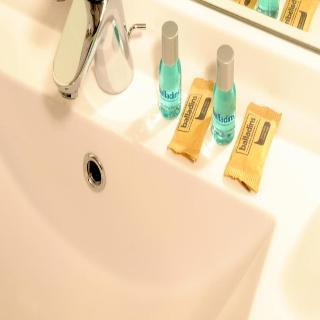 Hotel ibis Styles Antony Paris Sud