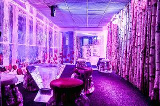Kube Hotel Paris-Ice Bar