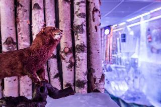 Kube Hotel Paris-Ice Bar