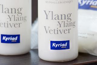 Гостиница Kyriad Caen Sud - Ifs