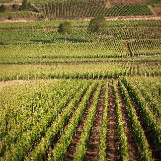 Гостиница Kyriad Prestige Le Panorama Beaune