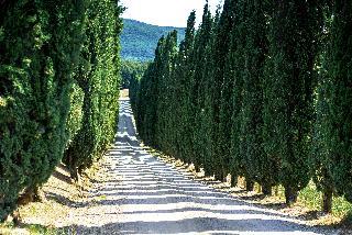 Hotel Borgo di Pietrafitta Relais
