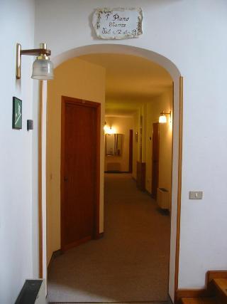 Гостиница Hotel Colibri