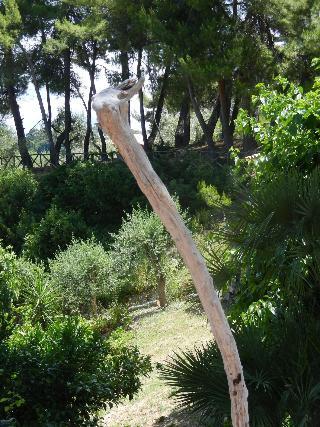 Hotel Residence Molino di Mare