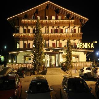 Гостиница Arnika