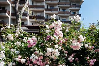 Hotel Michelangelo & Spa
