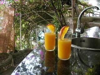 Hotel La Maliosa D' Arienzo