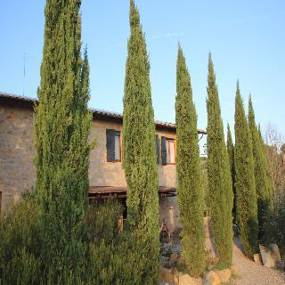Гостиница Fattoria di Corsignano