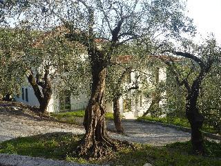 Hotel Borgo Verde-Uliveto