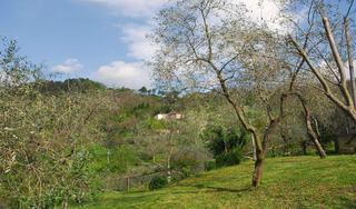 Hotel Borgo Giusto