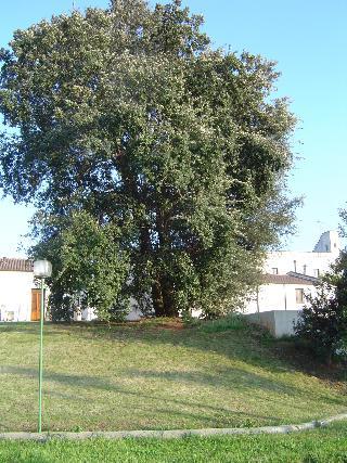 Гостиница Masseria Fabrizio