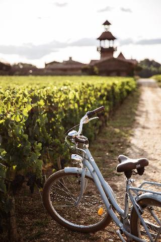 Гостиница Les Sources de Caudalie