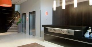 Гостиница Codina