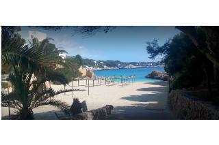 Hotel Alua Suite las Rocas