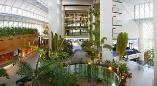 Гостиница Melia Benidorm