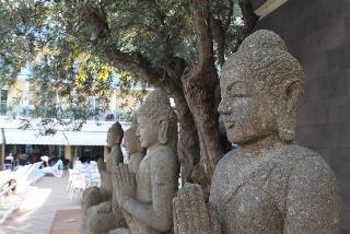 Гостиница La Palmera & Spa