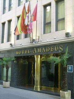 Гостиница Amadeus
