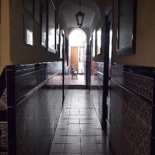 Гостиница Nova Centro
