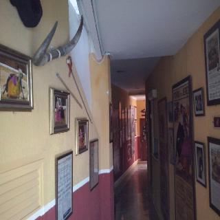 Гостиница Nova Centro