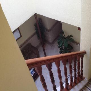 Гостиница Nova Centro