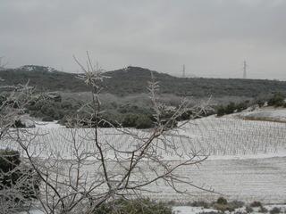 Гостиница Finca Torremilanos