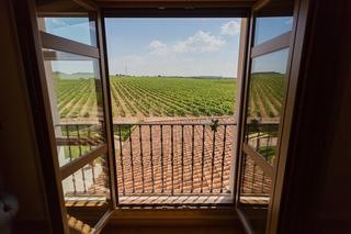 Гостиница Finca Torremilanos