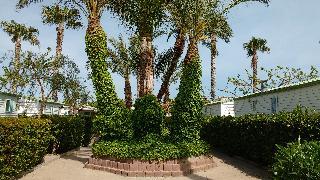 Гостиница Camping Platja Cambrils