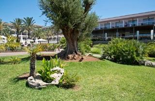 Гостиница Beach Club Font de Sa Cala