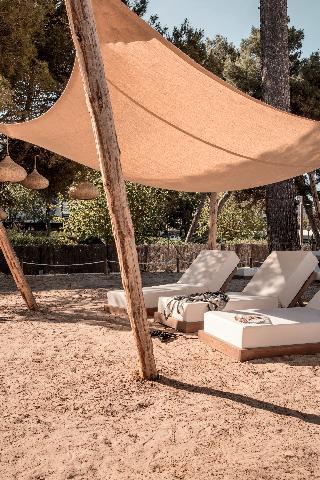 Гостиница Cook's Club Palma Beach