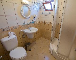 Гостиница Arya Otel