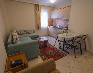 Гостиница Arya Otel