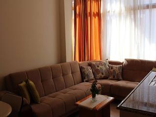 Гостиница Arya Otel