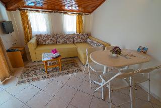 Гостиница Arya Otel
