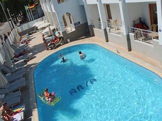 Гостиница Arya Otel