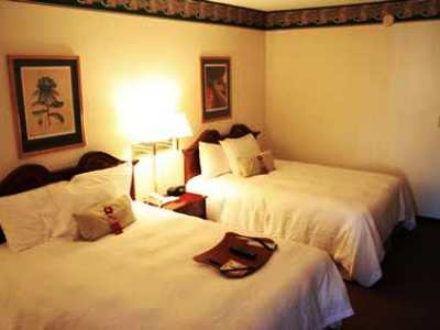 Гостиница Hampton Inn Helen