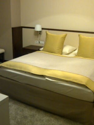 Seehotel Rust