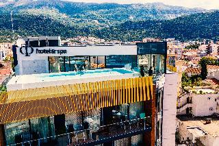 Hotel Fagus