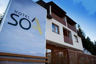 Гостиница Hotel SOA
