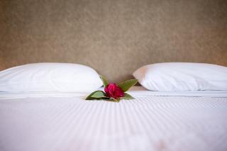 Гостиница Minos Beach Art Hotel