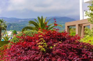 Гостиница Cronwell Platamon Resort