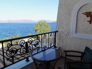 Hotel Dionysos