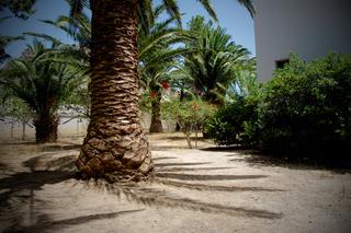 Hotel Avra Palm