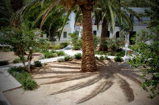 Hotel Avra Palm